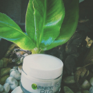 Swatch de Terezinha : Garnier Bio Lavandin régénérant, Garnier