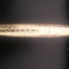 Swatch de Dydy69009 : Lash Queen Feline Elegance, Helena Rubinstein