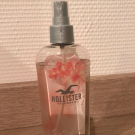 Swatch de 2nana7 : Brumisateur Silver Strand Beach, Hollister