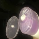 Swatch de Fay76 : DermaSpa Nutri essence, Dove