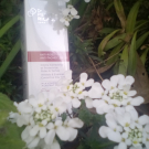 Swatch de anita30 : Crème correctrice et protectrice rides & taches SPF20, Dr Pierre Ricaud