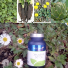 Swatch de anita30 : Draineur détox, Nature Attitude