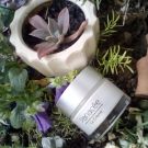 Swatch de anita30 : La Panacée, Phyt's