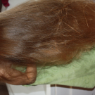 Swatch de peggy vanderhispallie : Le Masque Yaourt Lait d'Amande Nourricier - Ultra Doux de Garnier, Garnier