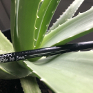 Swatch de spookx1809 : Epic Ink Liner, NYX