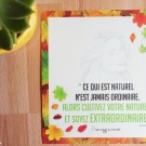 Swatch de Aunatur-elle : Biotyfull Box, Biotyfull box