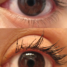 Swatch de testeuse2 : Better Than Sex Mascara, Too Faced