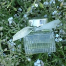 Swatch de Lilys : L'Eau de Chloé - Eau de Toilette, Chloé