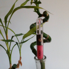 Swatch de Malia 74500 : Double Touch Lipstick, Kiko