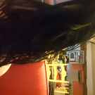 Swatch de charlottekunz : Shampooing Sec Dark & Deep Brown, Batiste